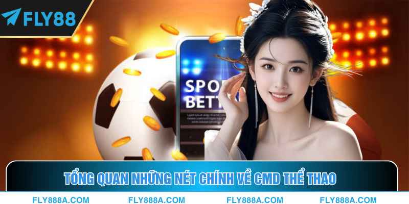 Giới thiệu chung về sảnh CMD trên nền tảng