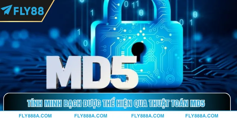 Tính minh bạch được thể hiện qua thuật toán MD5